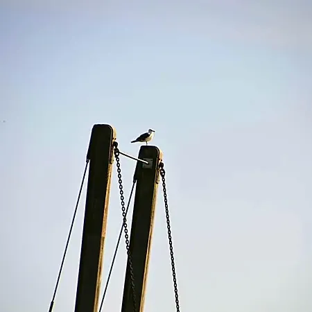 מלון Zur Bruecke גרייפסוואלד